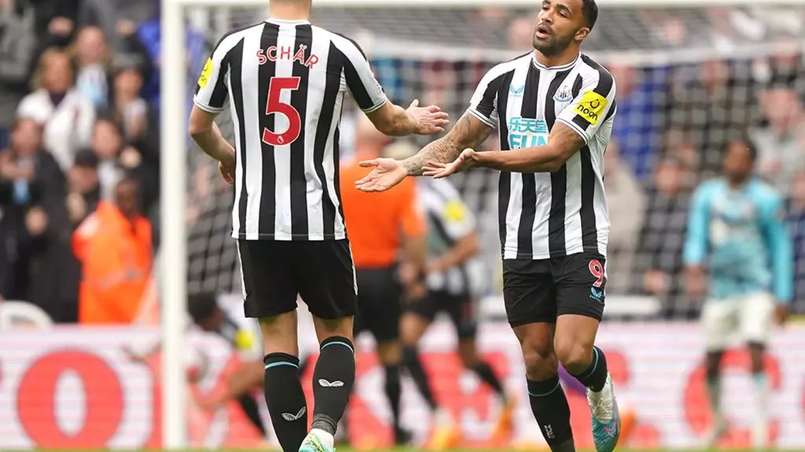 Substitute Callum Wilson S Brace Helps Newcastle Hit Back To Beat