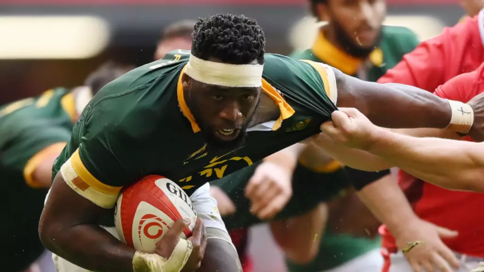 Bloemfontein Confirmed As Host For Historic Springbok Clash Against