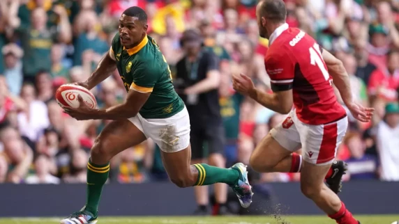 Nienaber not satisfied with Boks' level despite big win over Wales