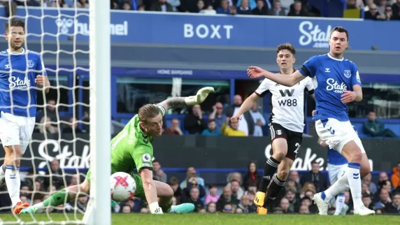 Fulham claims victory over Everton to end run of Premier League defeats