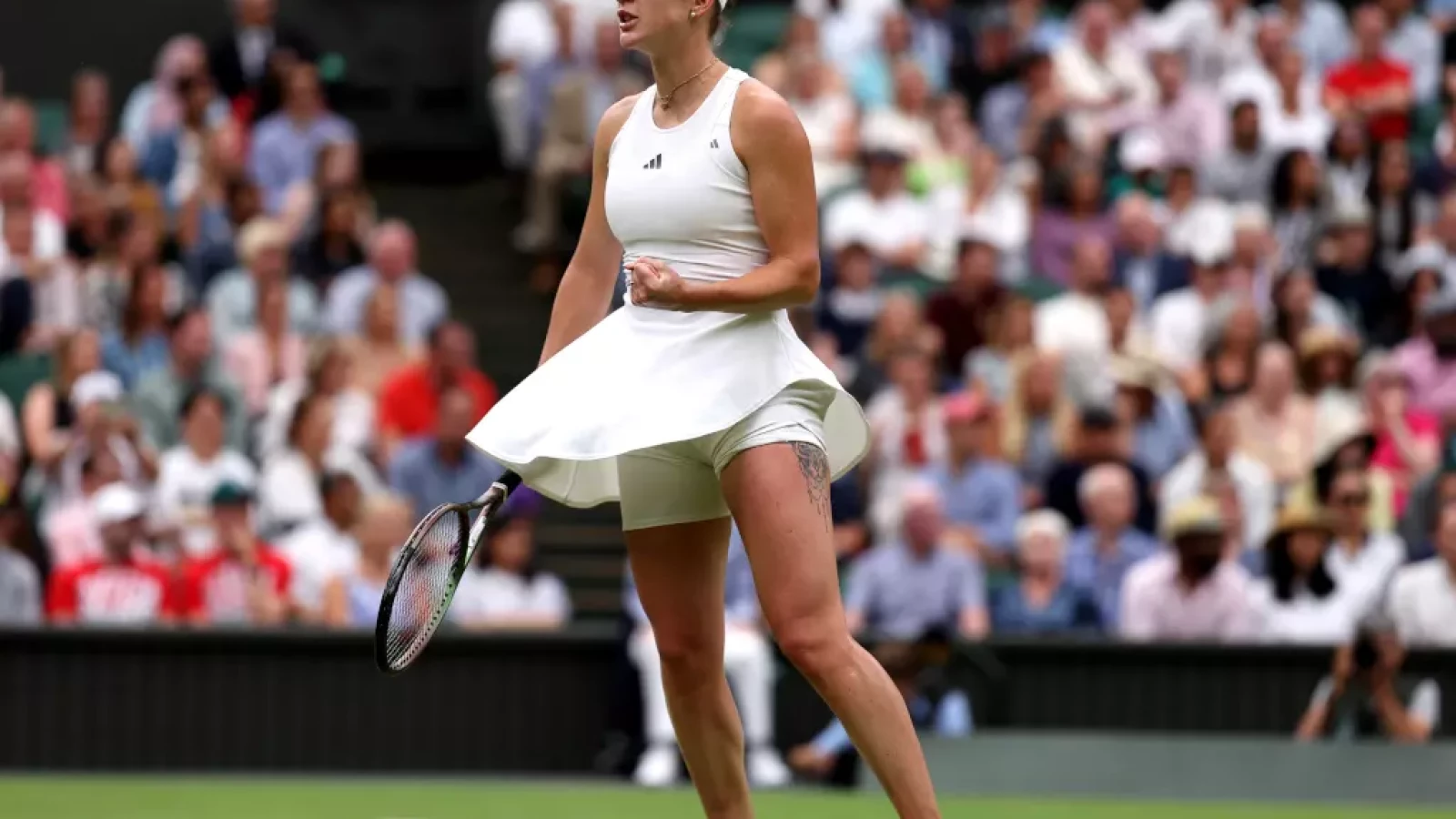 Elina Svitolina continues dream run at Wimbledon after knocking out Iga