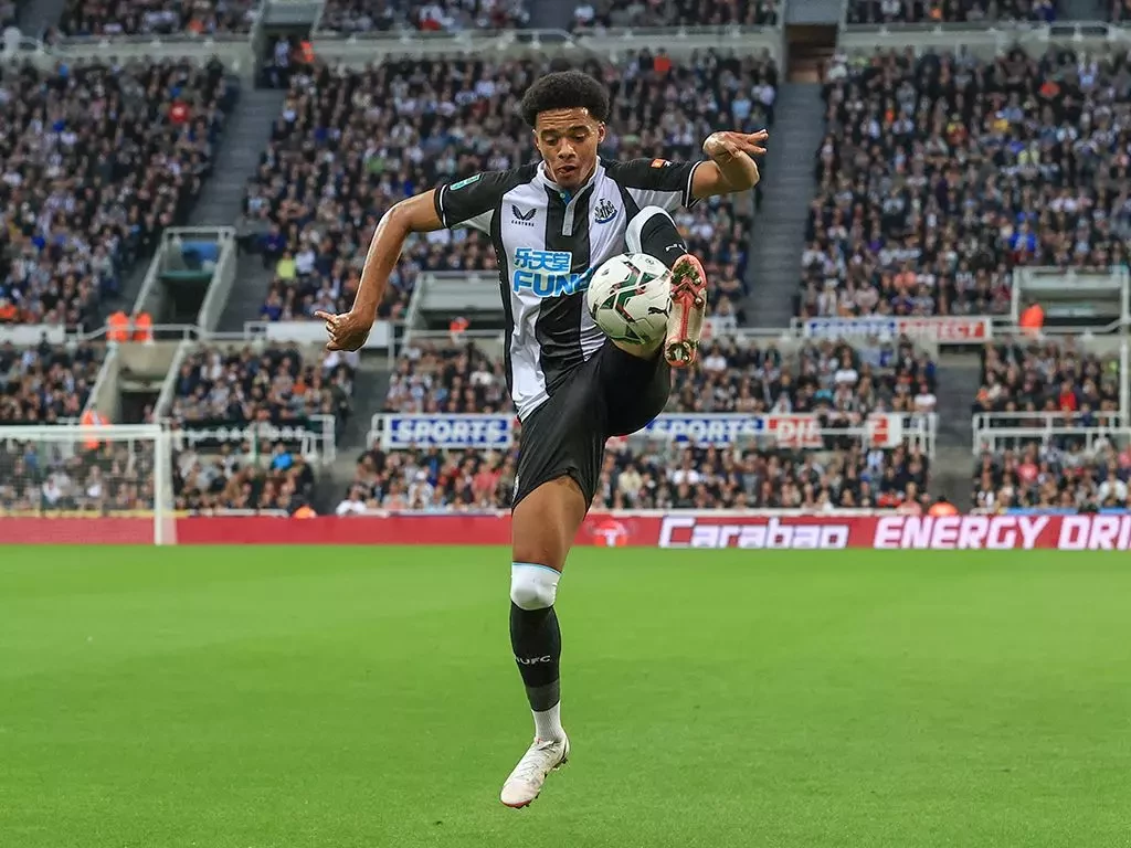 Newcastle United sign Jamal Lewis from Norwich