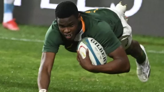 Springbok Aphelele Fassi staying put at the Sharks
