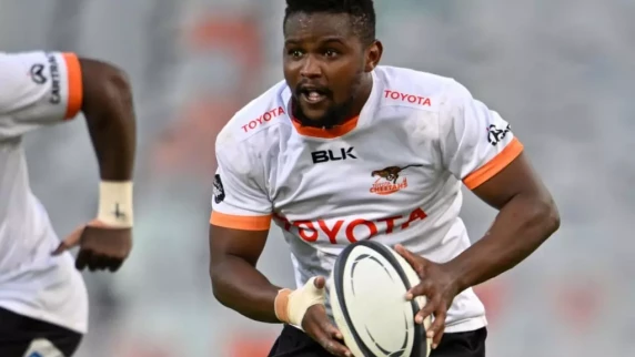 Cheetahs battle hard to overcome Section Paloise in France