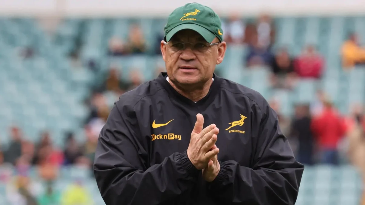 Deon Davids: Springboks' set-piece coming together after 'very hard work' Deon Davids: Springboks' set-piece coming together after 'very hard work'