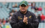 Springbok-assistant-coach-Deon-Davids-during-the-Rugby-Championship---Alamy-202616.webp