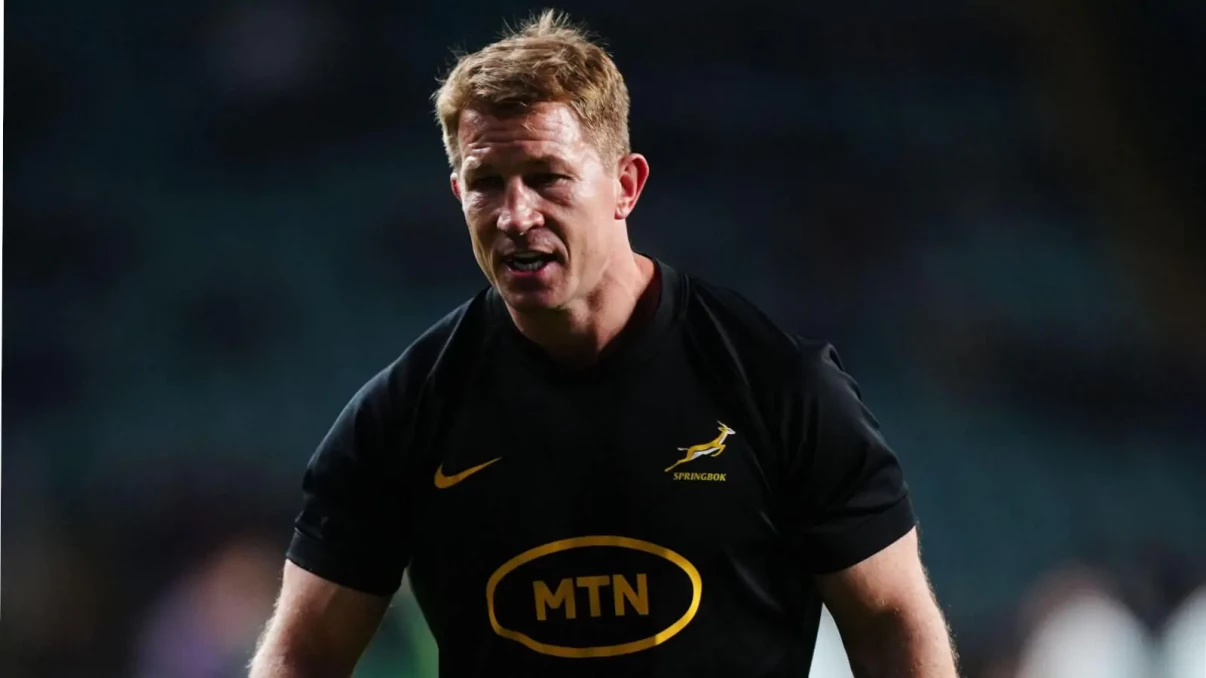 Springbok defence coach credits Jacques Nienaber for helping create blueprint for success Springbok defence coach credits Jacques Nienaber for helping create blueprint for success