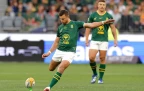 Springbok-flyhalf-Handre-Pollard-scores-a-penalty-goal---Alamy-202616.webp