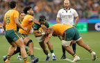Springbok-wing-Edwill-‌van-der-Merwe-double-tackled-by-Australia---Alamy-202616.webp