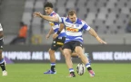 Stormers-Currie-Cup-captain-Jean-Luc-du-Plessis---Alamy-202616.webp