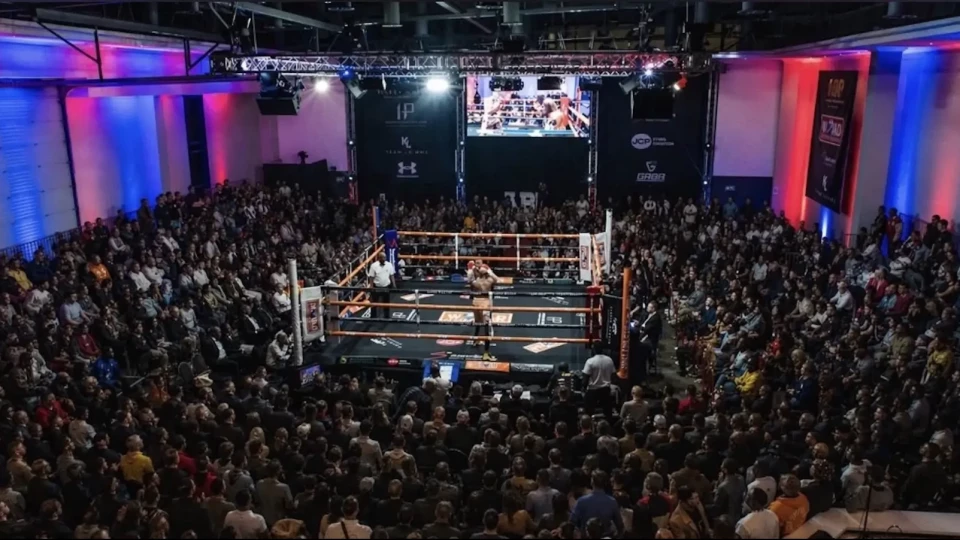 Knockout Chaos dishes up big bonuses and bigger performances