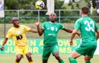 amazulu-ben-motshwari-298033.webp