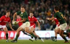 andre-esterhuizen-for-the-springboks-202216.webp