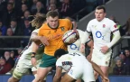 angus-bell-wallabies16.webp