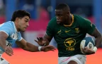 aphelele-fassi-springboks-v-argentina-aug-202616.webp