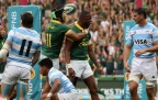 aphelele-fassi-springboks-v-argentina-sep-202416.webp