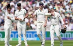 australia-despondent-in-the-field16.webp