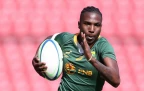 Springbok Women fight hard but USA claim series draw at Loftus