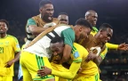 bafana-bafana-goal-celebrations-vs-korea-republic.webp
