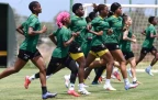 banyana-banyana.webp