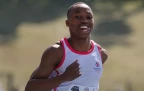 bayanda-walaza-tut-2391748.webp