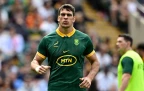 ben-jason-dixon-springboks16.webp