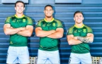 blitzboks-close-up.webp