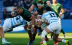 cameron-hanekom-springboks-v-argentina-2026-alamy16.webp