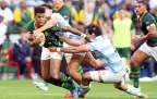 canan-moodie-springboks-v-los-pumas-2025-trc-r5-alamy16.webp