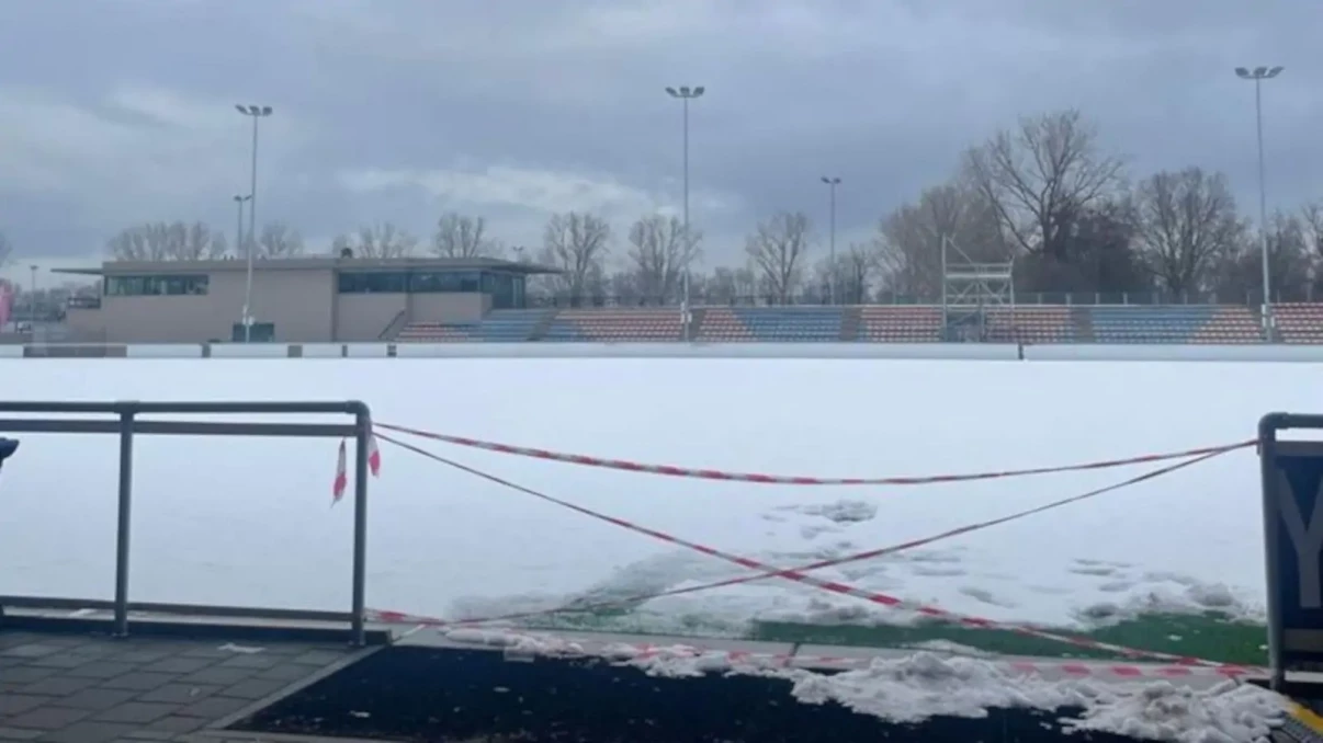 Cheetahs reveal heroic community efforts to stage cancelled clash in the Netherlands Cheetahs reveal heroic community efforts to stage cancelled clash in the Netherlands