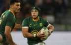 cheslin-kolbe-for-the-springboks-august-202516.webp