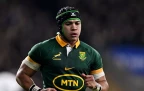 cheslin-kolbe-springboks-v-england-nov-202416.webp