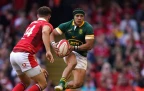 Boks' end-of-year fixtures confirmed as blockbuster 2024 season takes shape