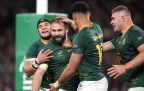 cobus-reinach-scores-springboks-v-ireland-2025-alamy16.webp