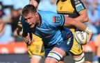 cobus-wiese-bulls-v-dragons-may-202516.webp