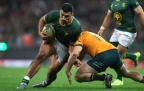 damian-de-allende-springboks-v-aus-2025-alamy16.webp