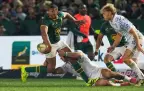 damian-willemse-2025-boks-v-italy-alamy16.webp
