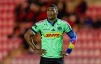 damian-willemse-for-the-stormers-oct-202516.webp
