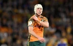 declan-meredith-wallabies-june-202616.webp