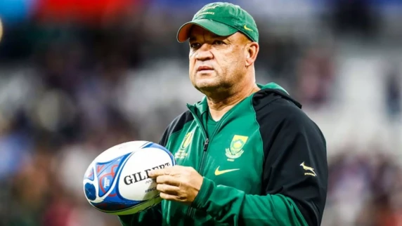 Springboks aiming for clinical performance against Portugal