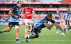 dylan-maart-scores-a-try16.webp