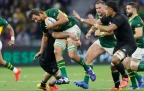 eben-etzebeth-springboks-rgr3-alamy16.webp