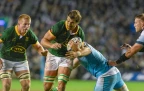 eben-etzebeth-springboks-v-scotland-nov-202416.webp