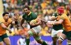 eben-etzebeth-v-wallabies-202416.webp