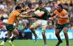 elrigh-louw-springboks-202416.webp