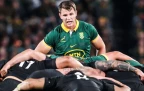 elrigh-louw-v-all-blacks-sep-202416.webp