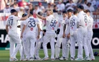 england-ashes-wicket16.webp