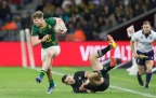 'It's not done yet', says Springbok flyer Ethan Hooker