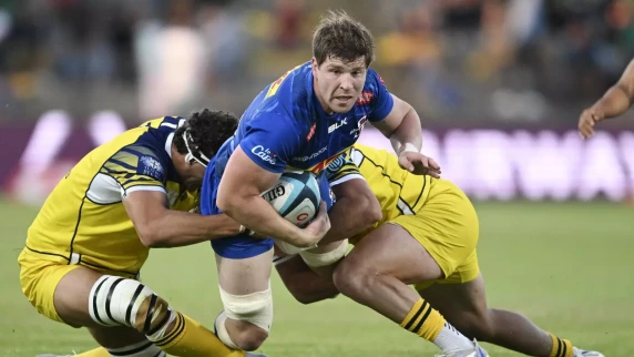 Evan Roos back for Stormers for trip to the Shark Tank