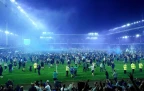 everton-fans-celebrate-on-the-pitch.webp